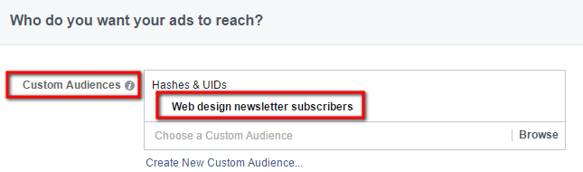 Custom Audience Set With Facebook Ads
