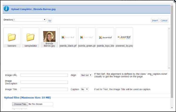 WordPress vs. Joomla – joomla Creating an Article 2