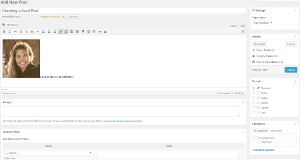 WordPress vs. Joomla – wordpress dashboard Creating a Post 3