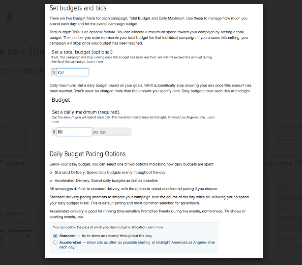 Be careful when setting budget for twitter ads