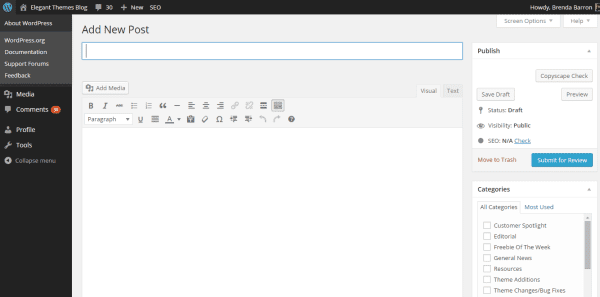 WordPress admin demo