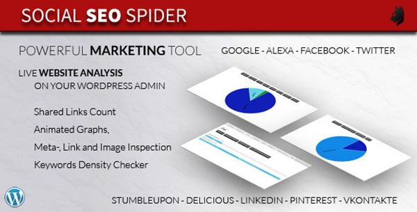 social-seo-spider