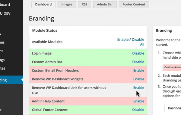 Ultimate Branding Plugin Settings Area