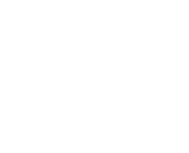 customizer-section-header