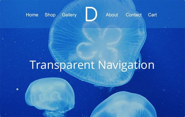 divi-2-4-transparentnav