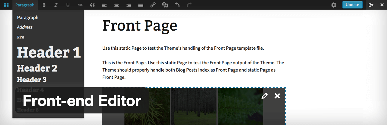 WordPress Front End Editor