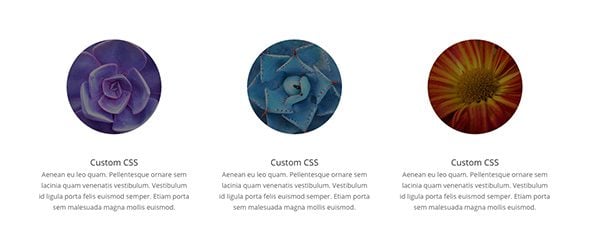 css-blurbs-circles