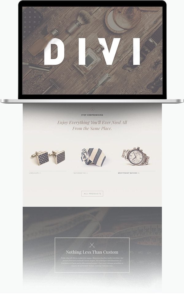 divi-2-4-casestudydemo