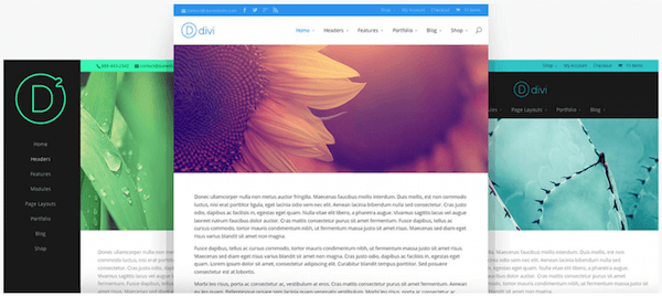 Divi theme