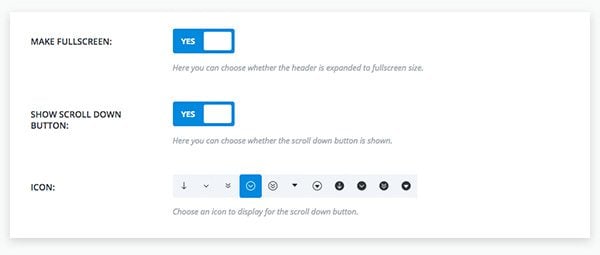 fullscreen-header-settings