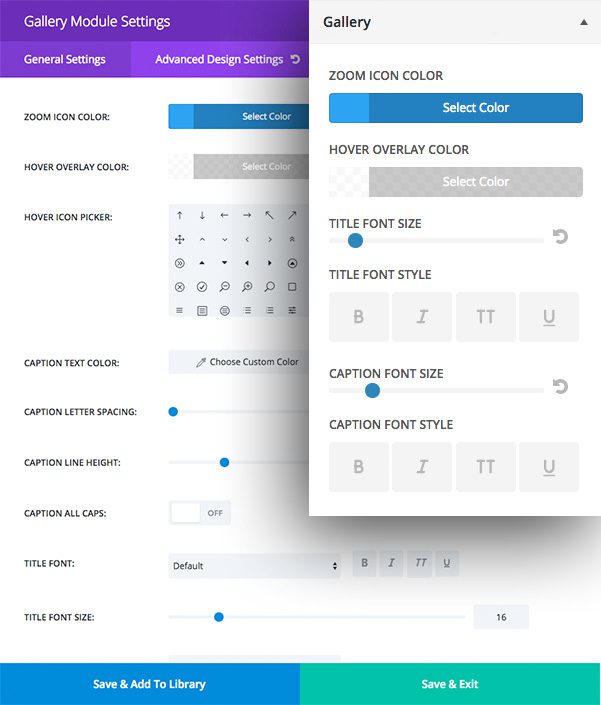 module-customizer-adv-settings-1