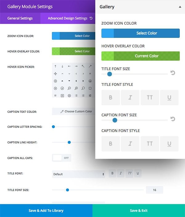 module-customizer-adv-settings-2