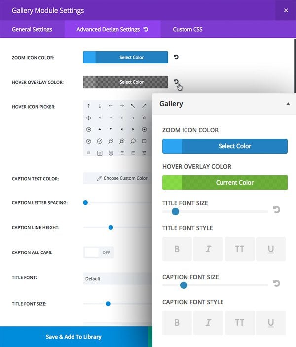 module-customizer-adv-settings-3