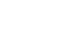 module-customizer-section-header