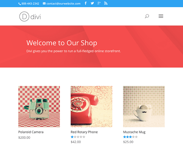 eCommerce Store built with Divi