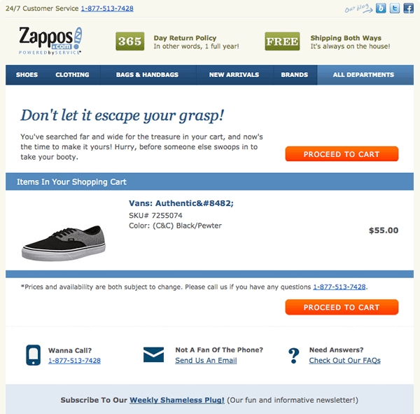 Zappos Abandoned Cart Email