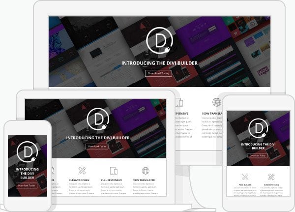 divi-builder-fluid