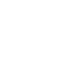 section-icon-settings