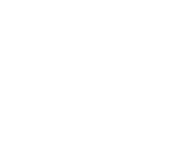 divi-2-5-logo