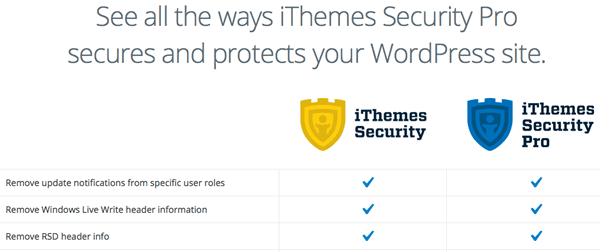 iThemes Secutiry