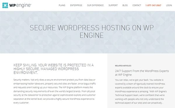 Managed Hosts like WP Engine offer comprehensive security features.
