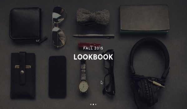 the-look-wordpress-theme