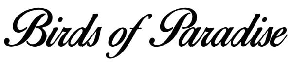 birds-of-paradise-script-font