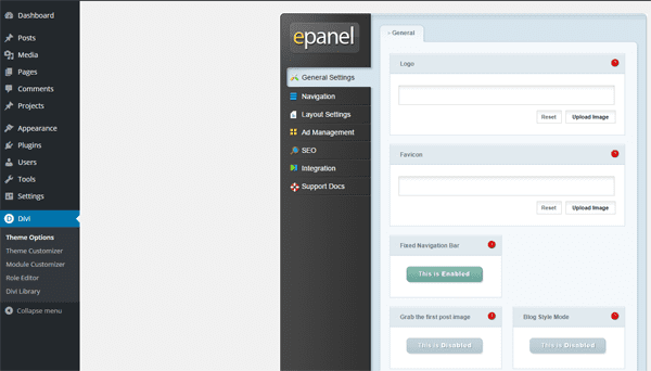 The Divi ePanel main screen.