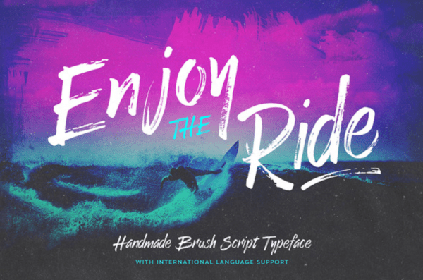 Enjoy the Ride