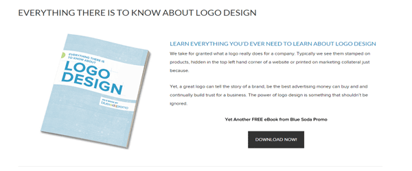 A screenshot of the Everything There Is To Know About Logo Design book homepage.