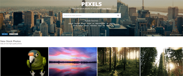 A screenshot from the Pexels homepage.