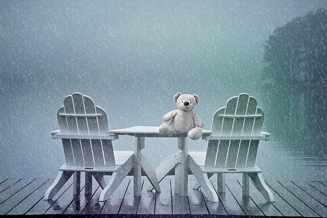 Teddy on table in rain