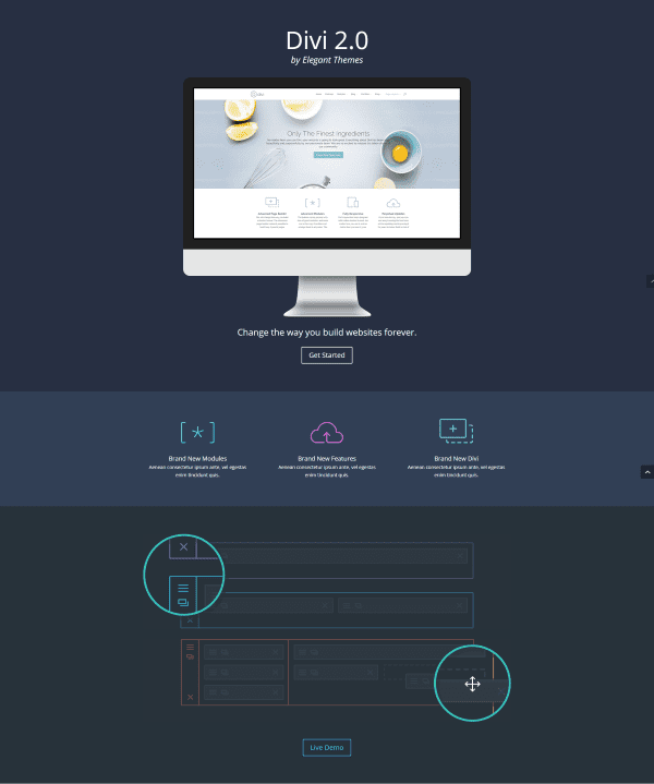 Divi-landing-page