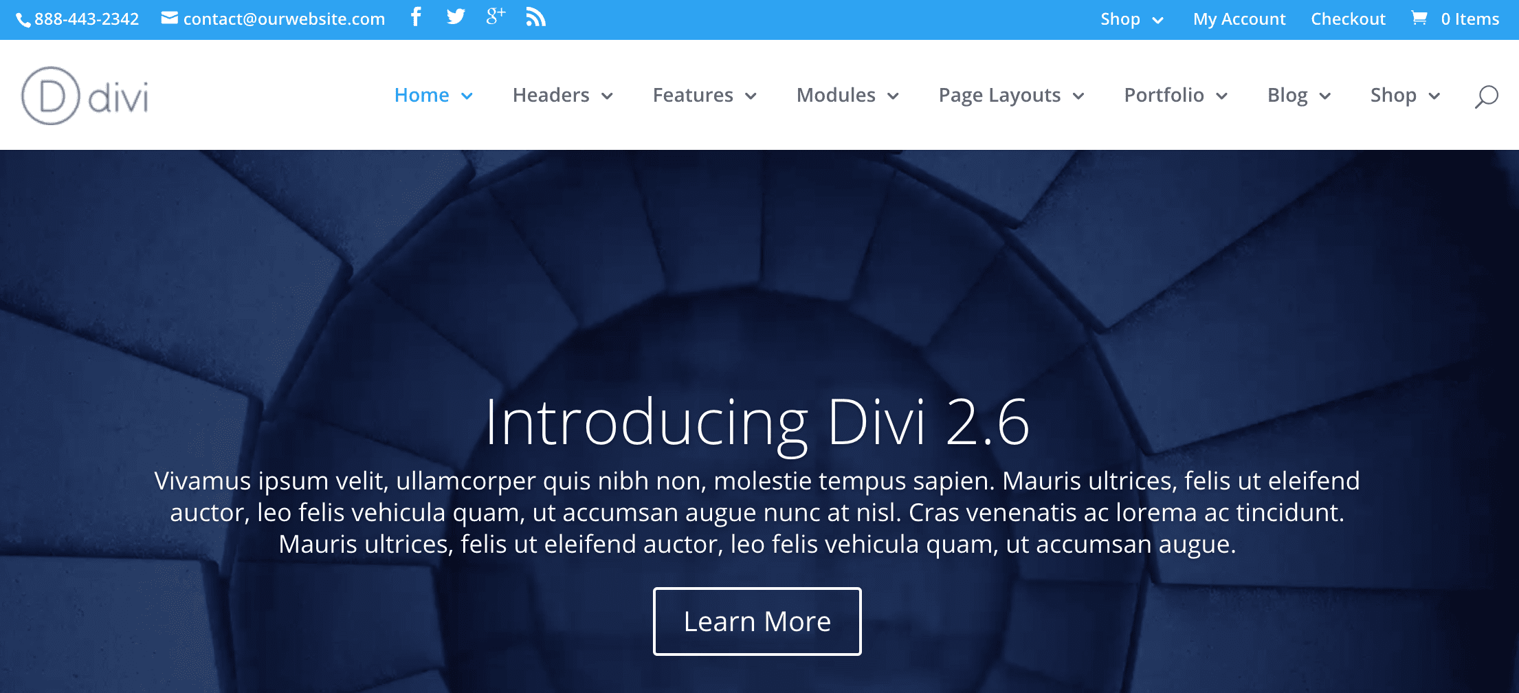 A screenshot of the Divi theme.