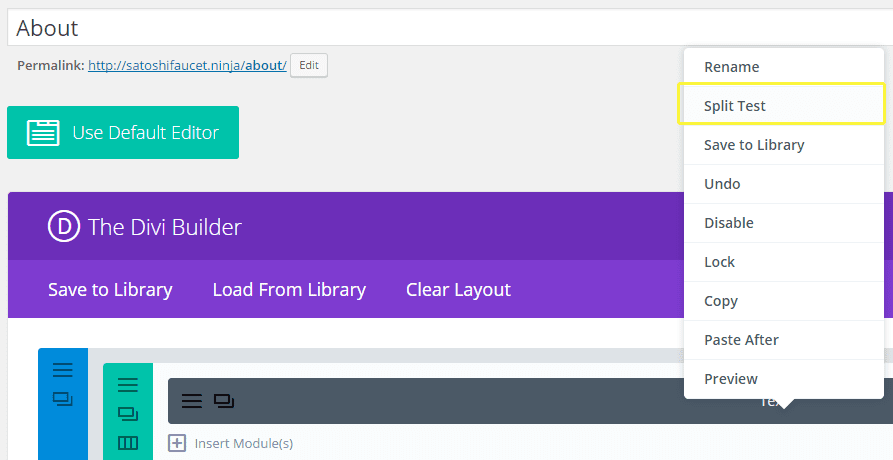 A screenshot of the Split Test option in Divi Leads.