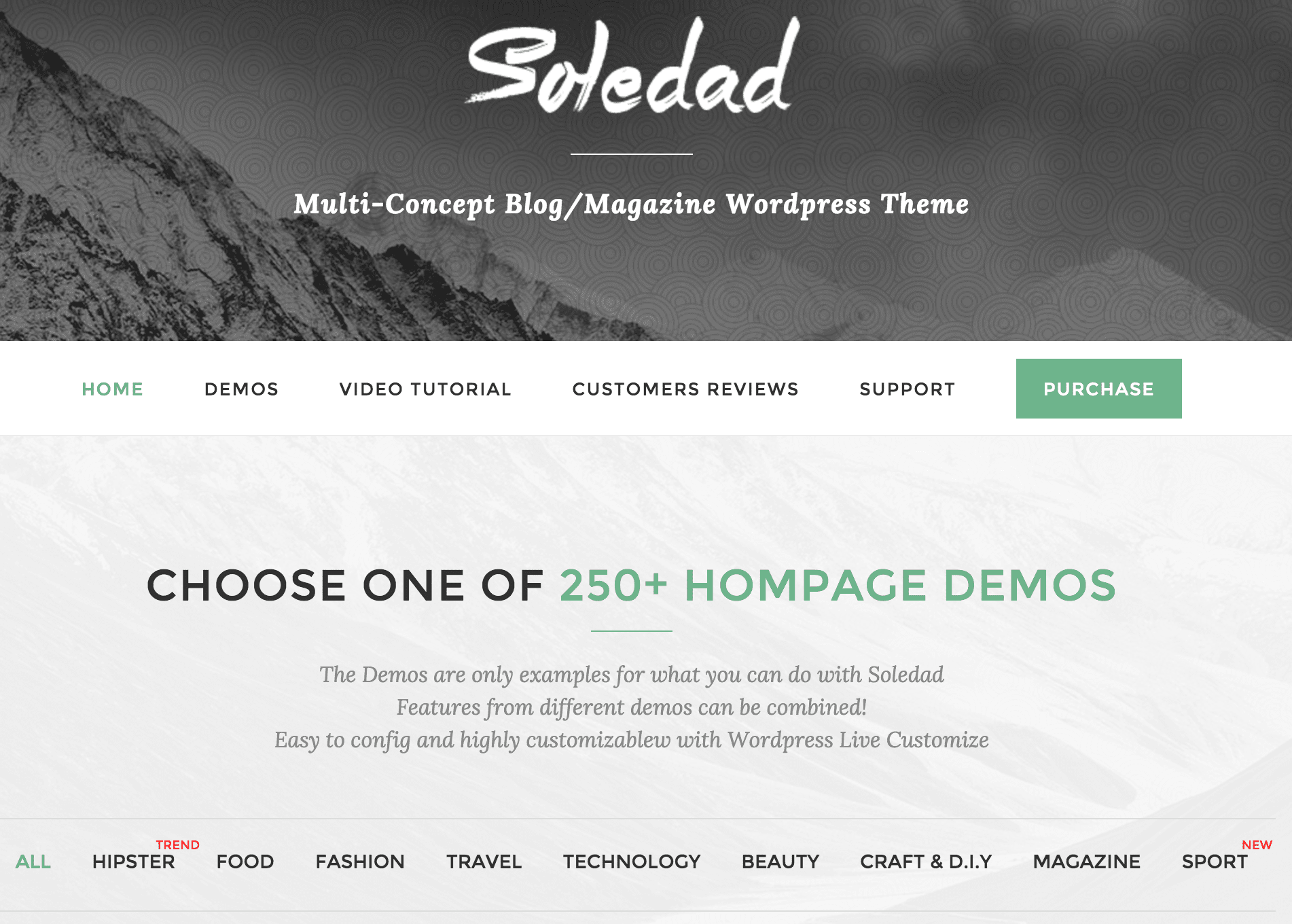 A screenshot of the Soledad theme.