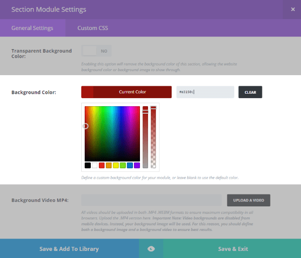 Styles and Adjustments section module settings