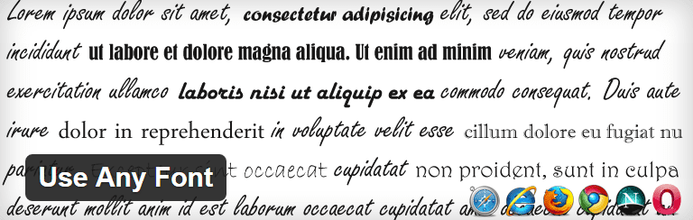 Screenshot of the Use Any Font plugin header.