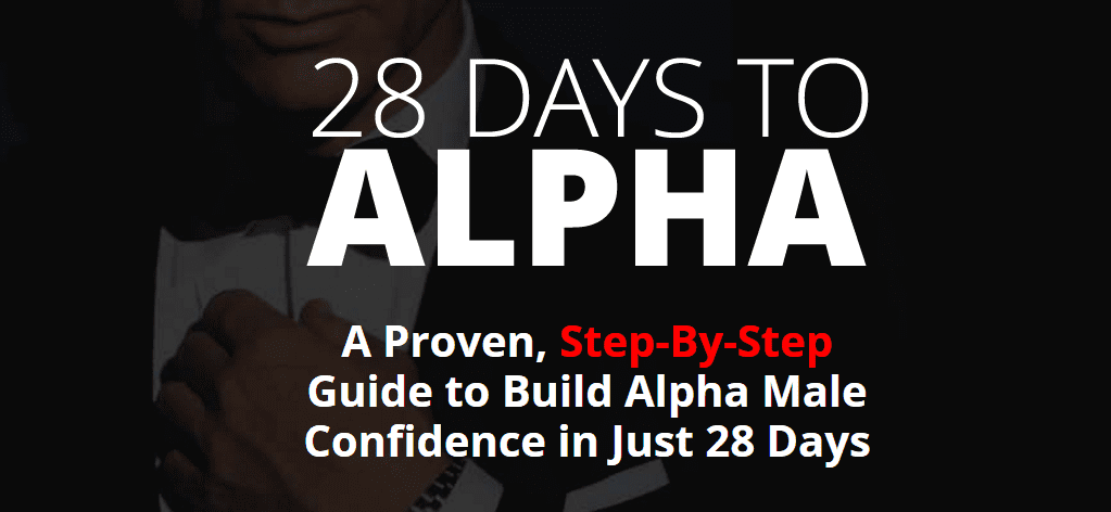 A screenshot of the 28 Days to Alpha homepage.