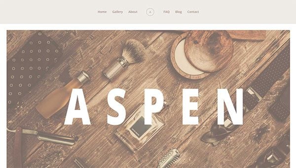 Premium Divi Child Themes Aspen