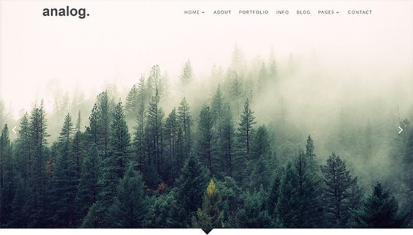 Premium Divi Child Themes Big Analog