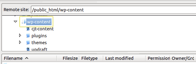 A screenshot of the wp-content folder as seen from an FTP manager.