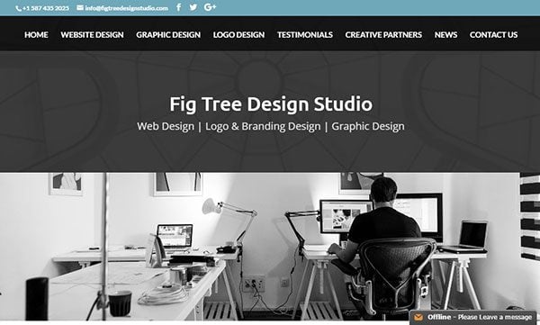 Divi Agencies Fig Tree