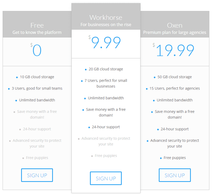 An example of a Divi pricing table with informative tier names.