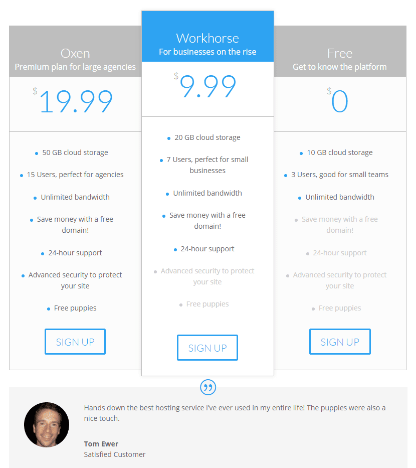 An example of the Testimonial module alongside a Divi pricing table.