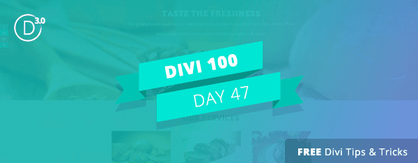 How to Use Divi’s Predefined Layouts to Their Full Potential: 3 Step-by-Step Examples