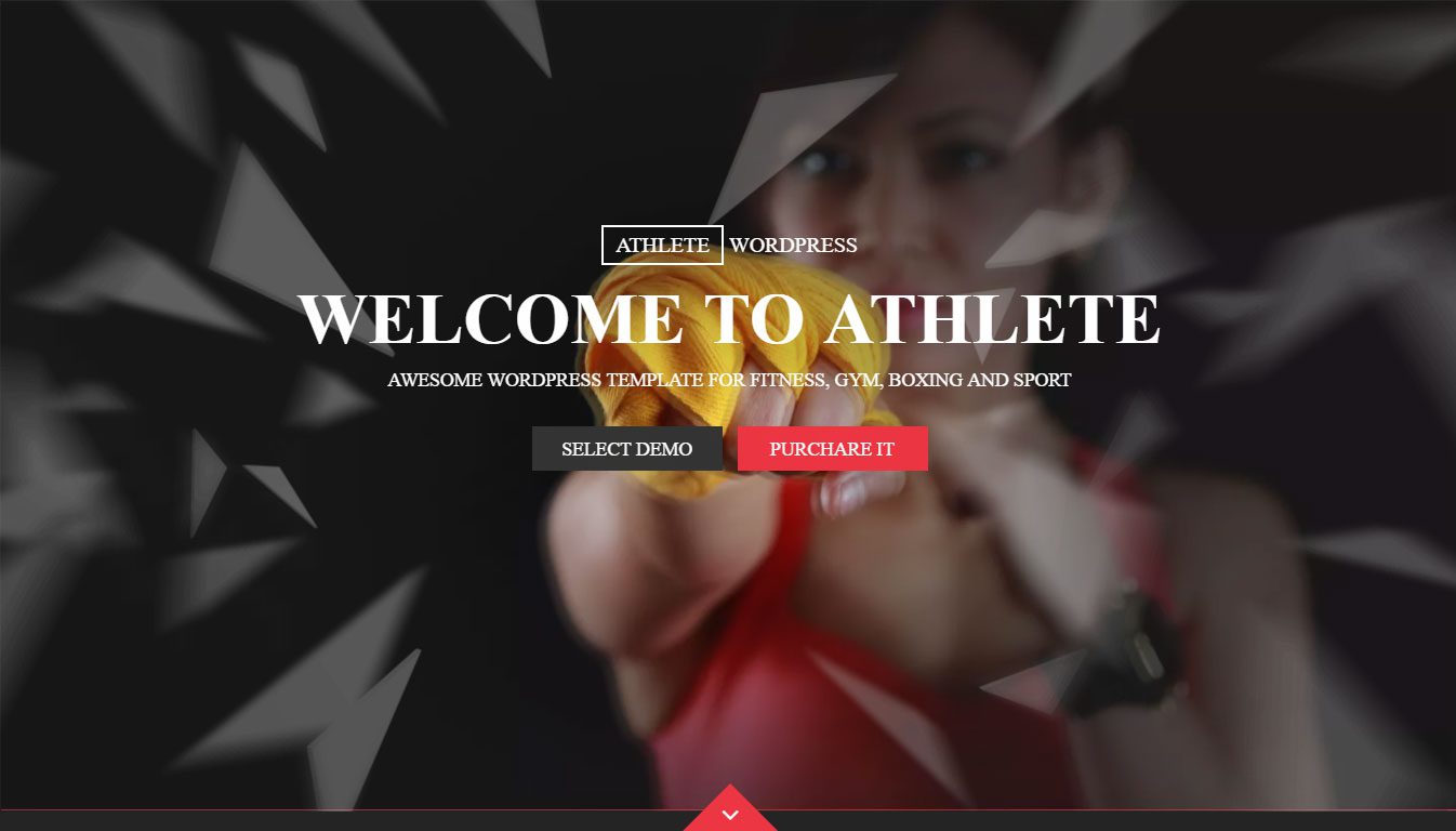 Best WordPress Themes For Sports Athlete