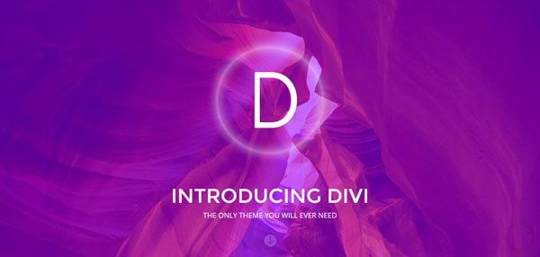 best-wordpress-travel-themes-divi