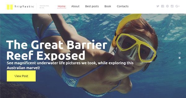 best-wordpress-travel-themes-the-trip