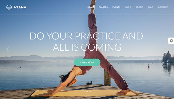 Asana WordPress Theme